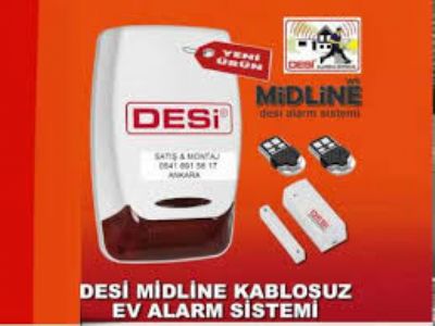 Desi Alarm Setler