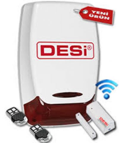 Desi Alarm Setler